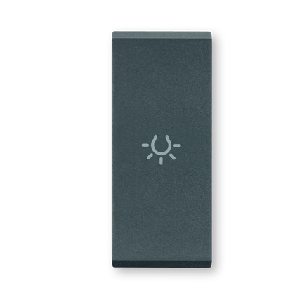 TASTER SA OZNAKOM SVIJETLA I INDIKACIJOM 1M ANTRACIT,  65421.A,   ALING MODE